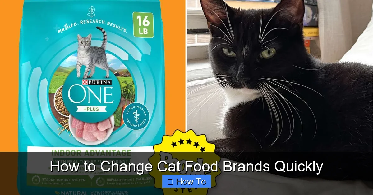 How to Change Cat Food Brands Quickly