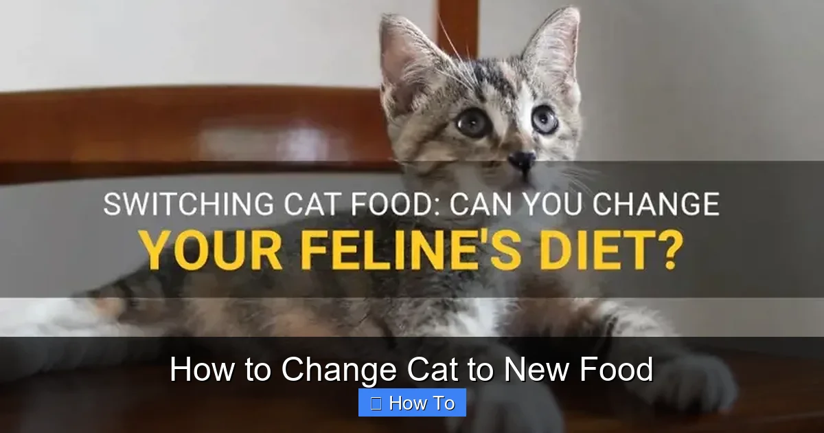 How to Change Cat to New Food