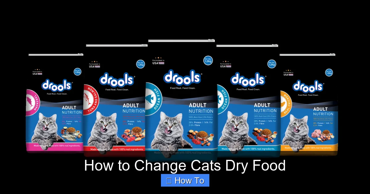 How to Change Cats Dry Food
