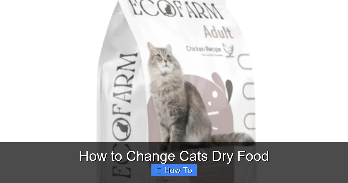 How to Change Cats Dry Food