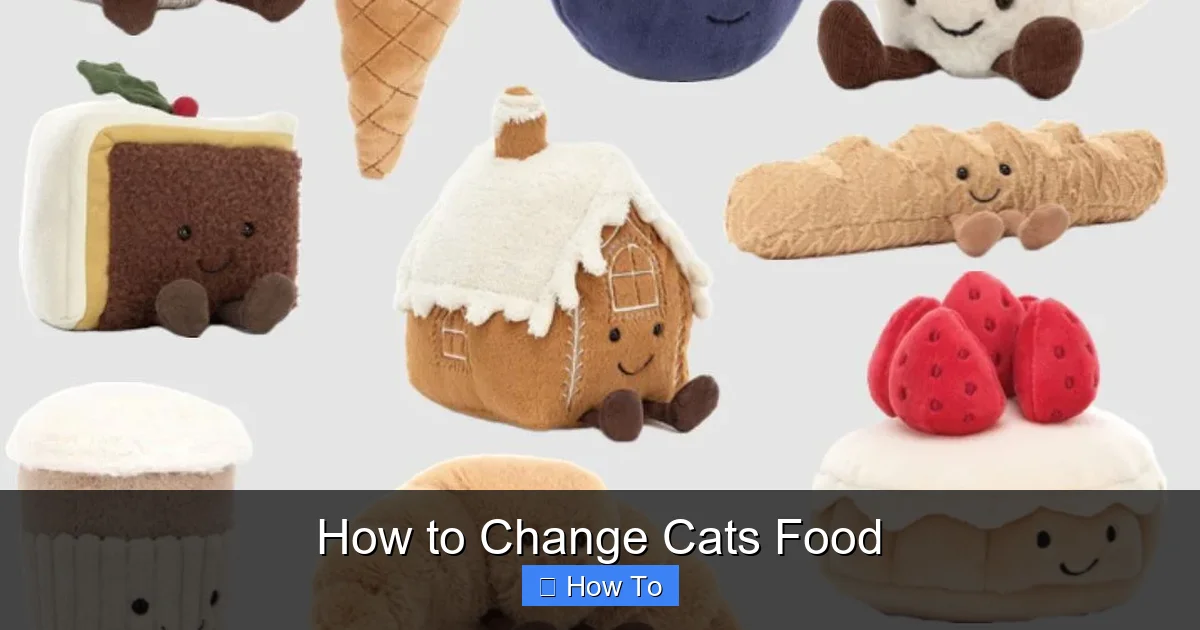 How to Change Cats Food