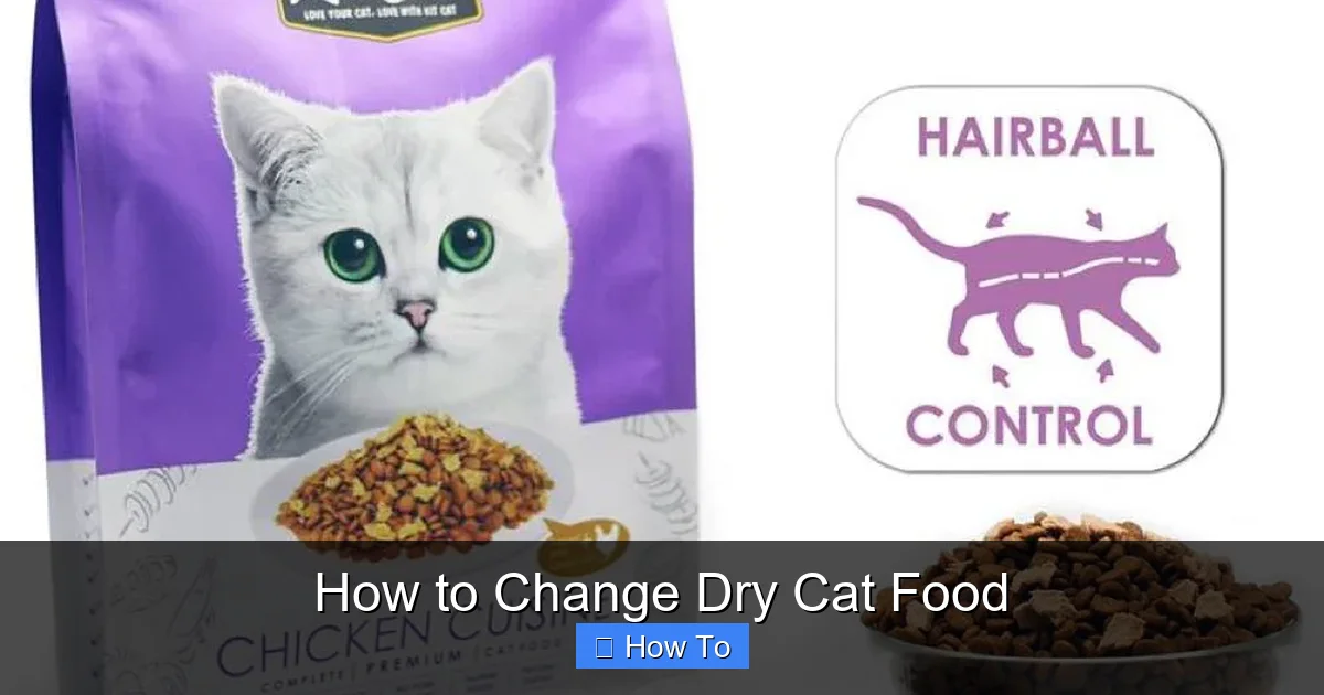 How to Change Dry Cat Food
