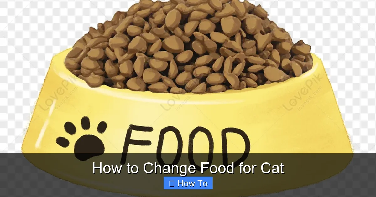 How to Change Food for Cat