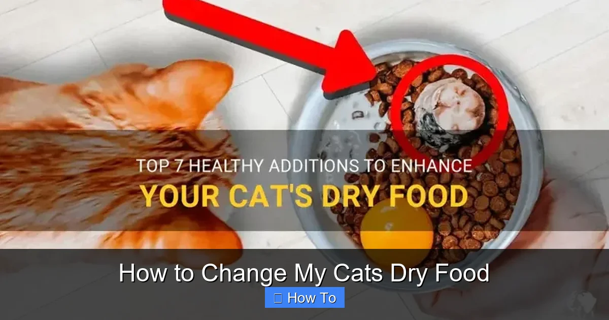 How to Change My Cats Dry Food