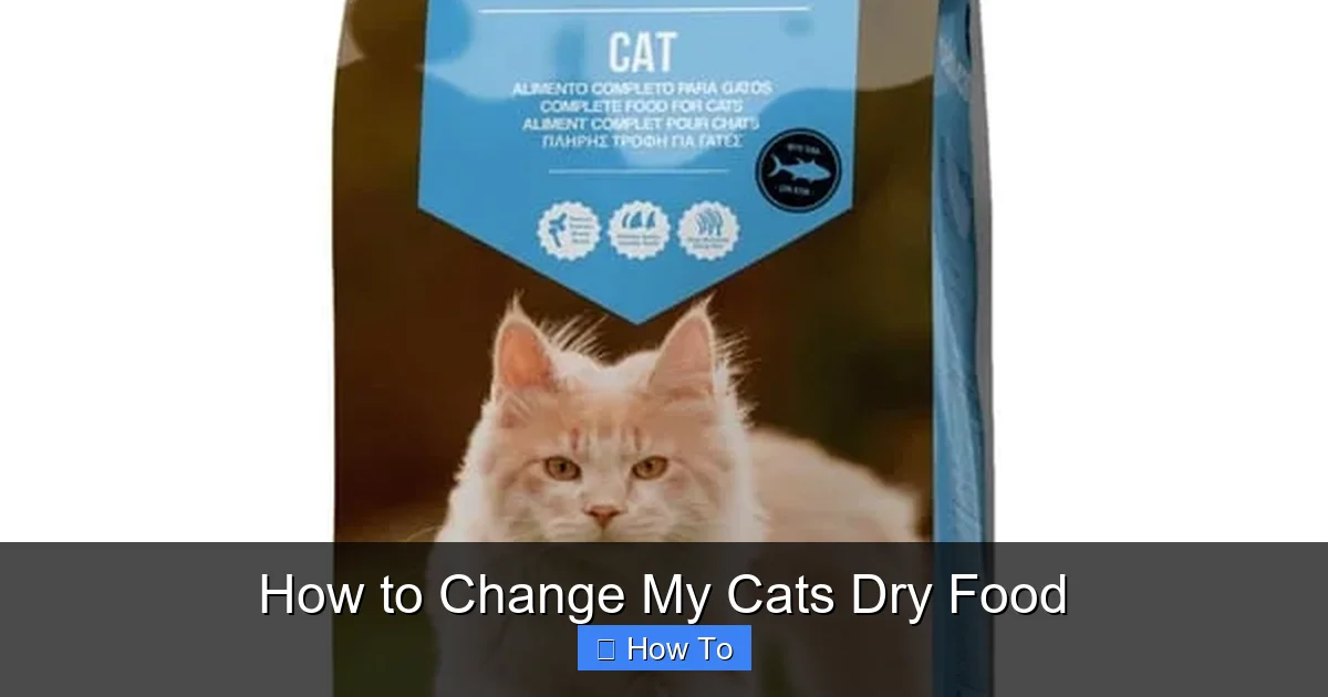 How to Change My Cats Dry Food