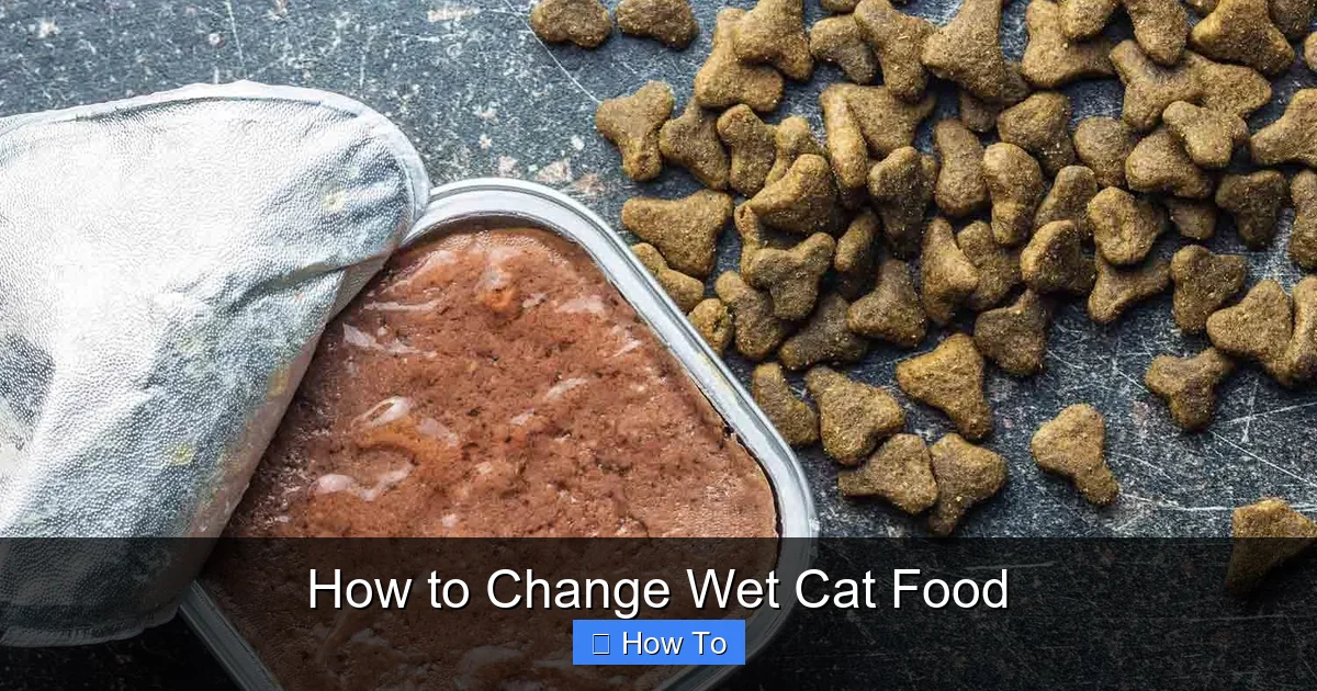 How to Change Wet Cat Food