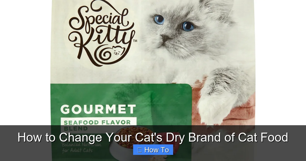 How to Change Your Cat's Dry Brand of Cat Food