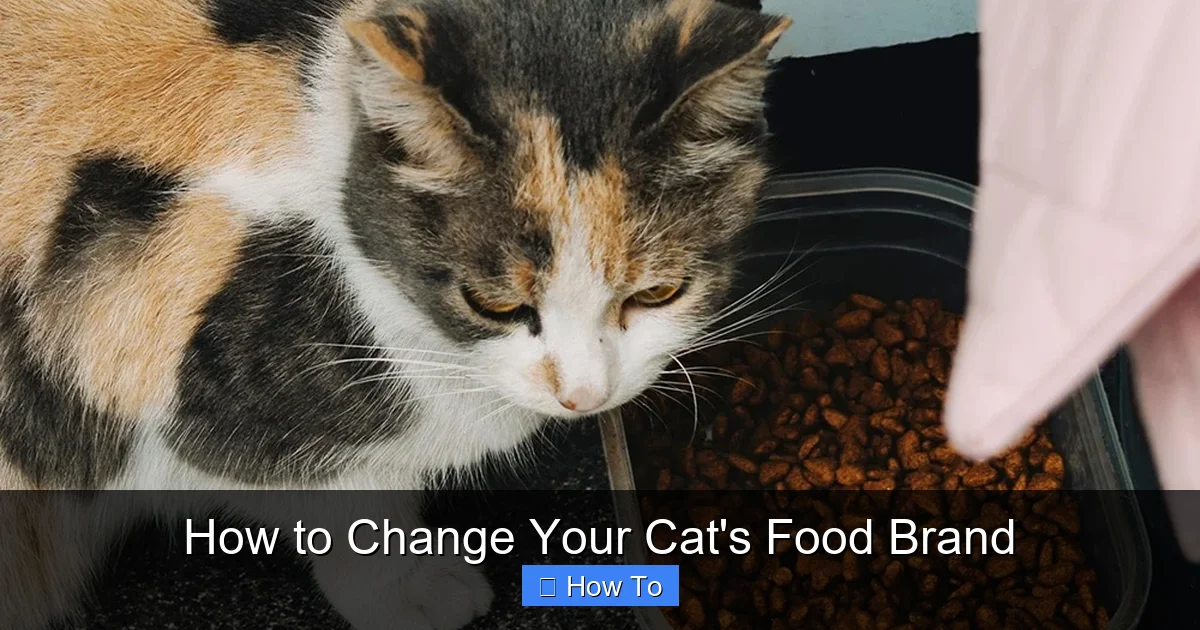 How to Change Your Cat's Food Brand