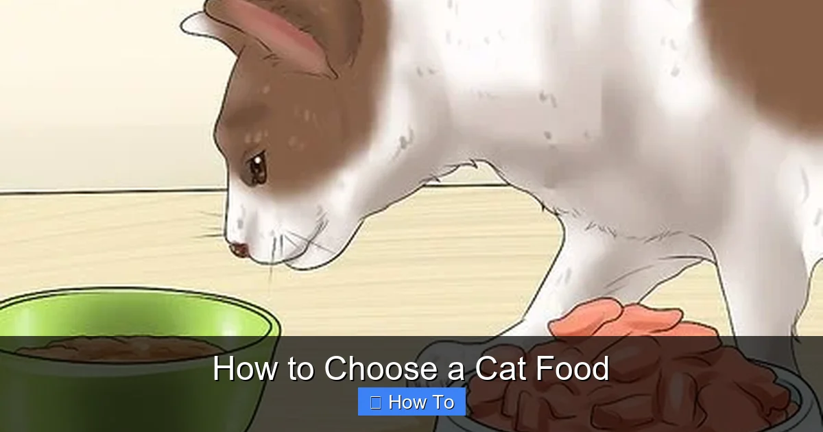 How to Choose a Cat Food