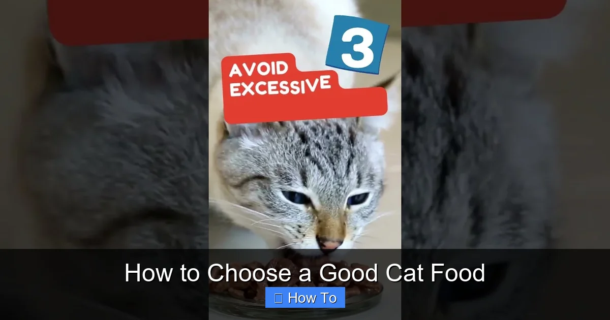 How to Choose a Good Cat Food