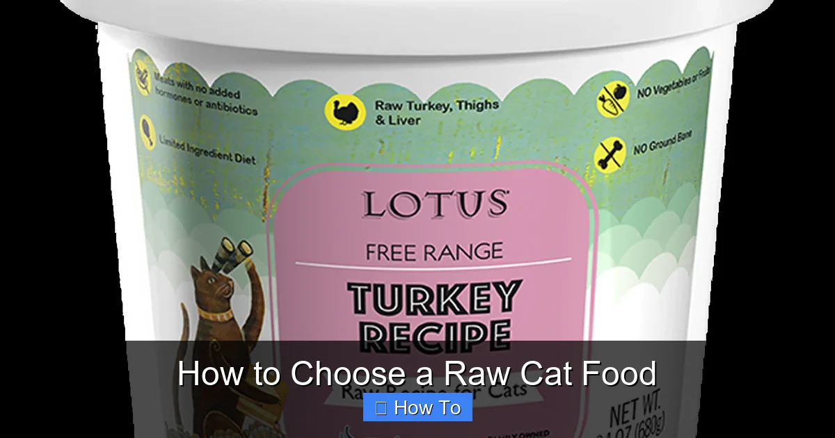 How to Choose a Raw Cat Food