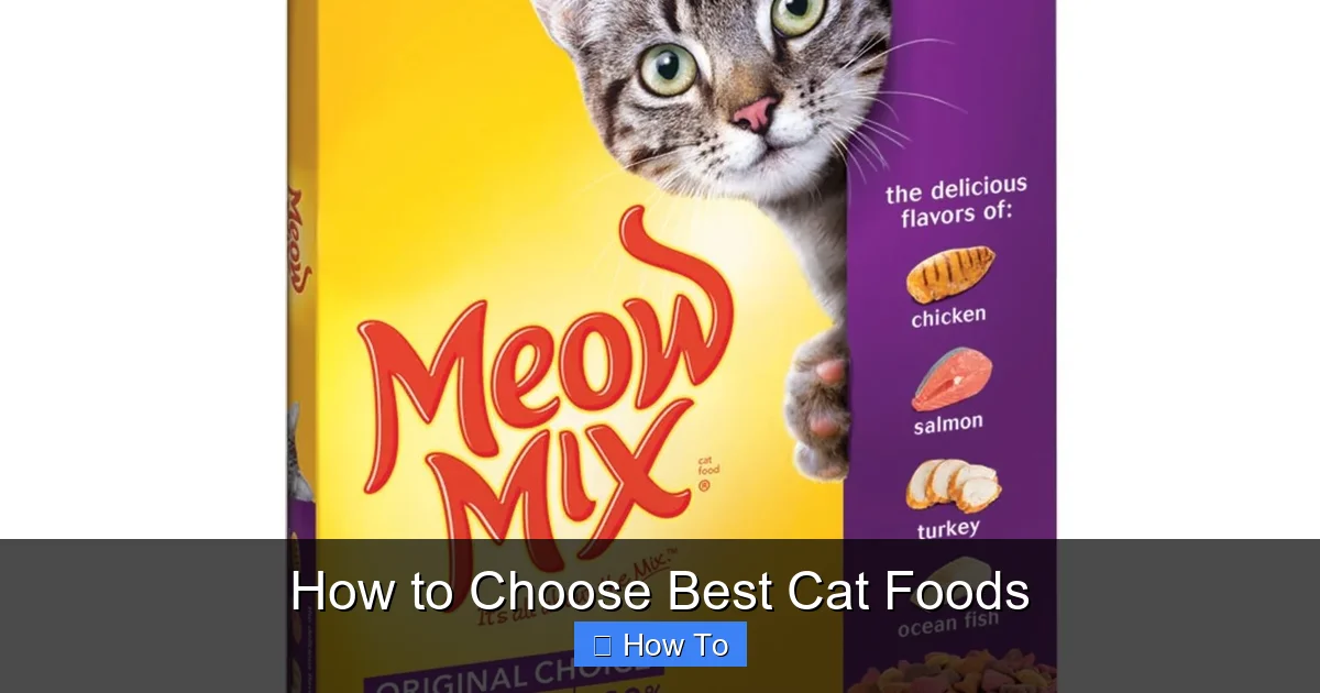 How to Choose Best Cat Foods