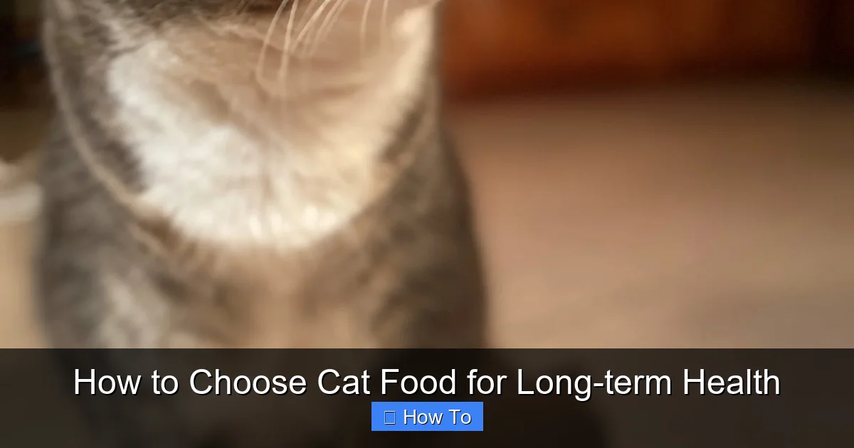 How to Choose Cat Food for Long-term Health