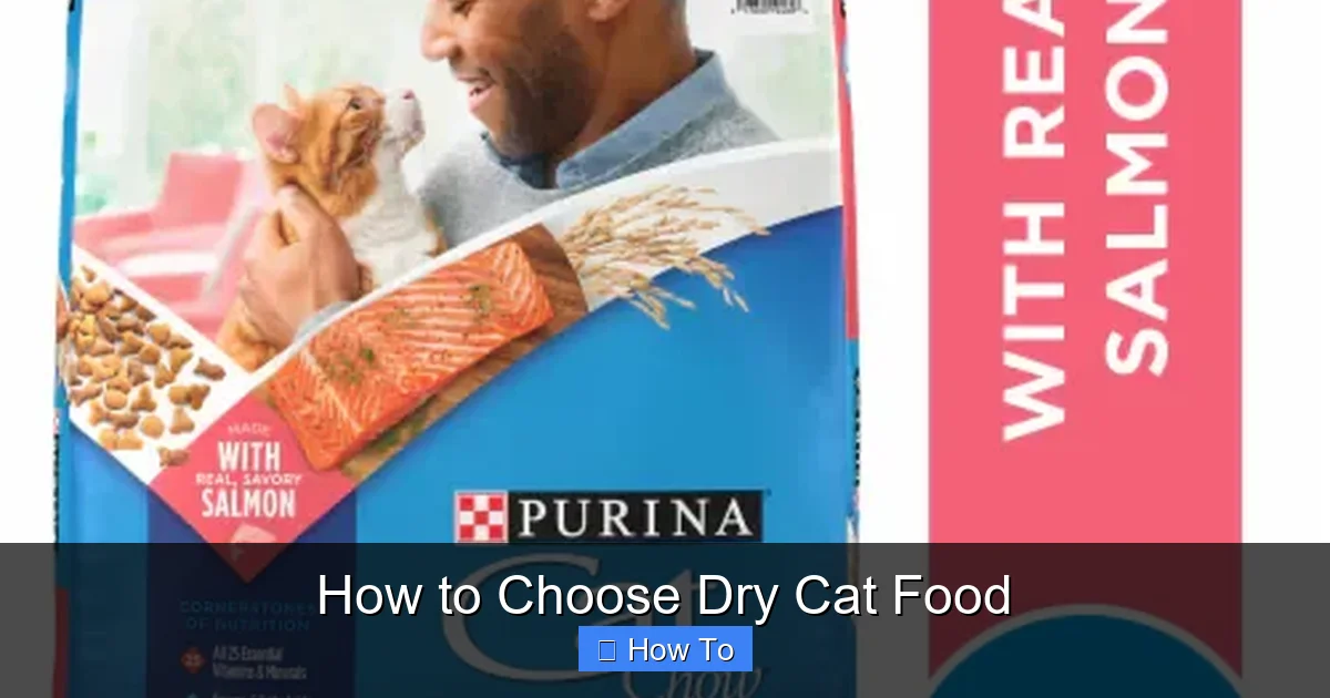 How to Choose Dry Cat Food