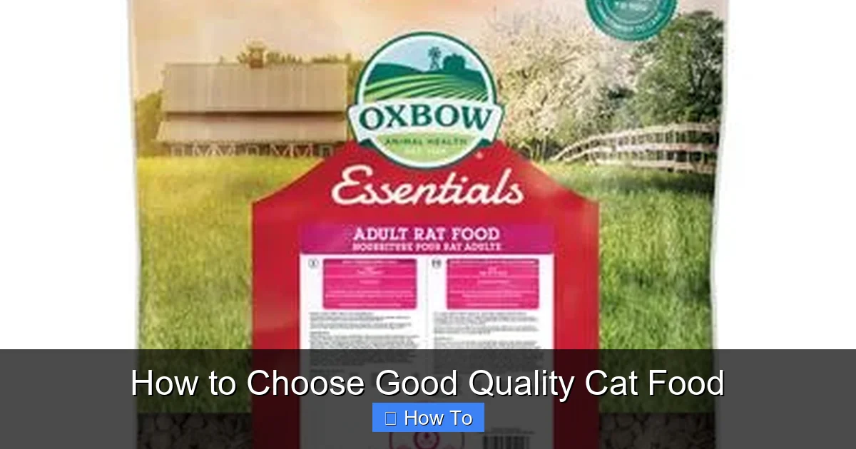 How to Choose Good Quality Cat Food