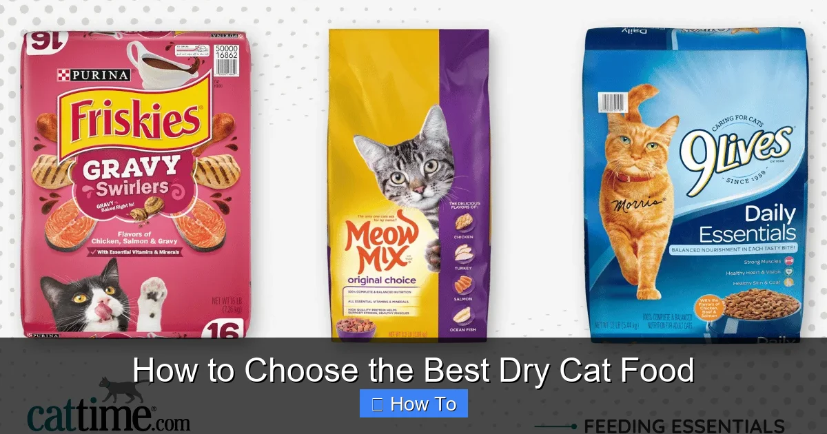 How to Choose the Best Dry Cat Food