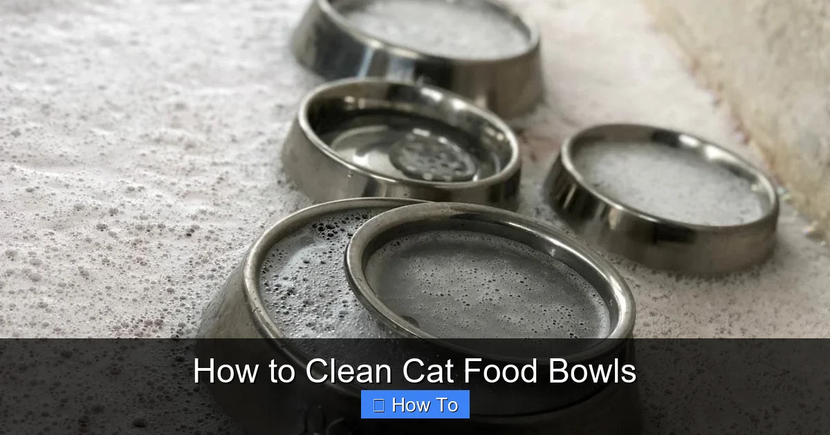 How to Clean Cat Food Bowls