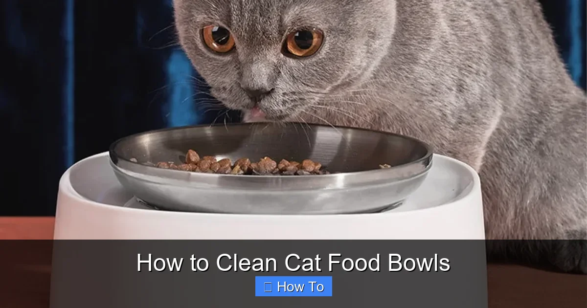 How to Clean Cat Food Bowls