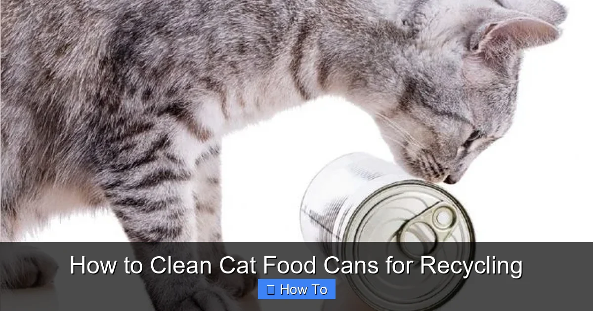 How to Clean Cat Food Cans for Recycling