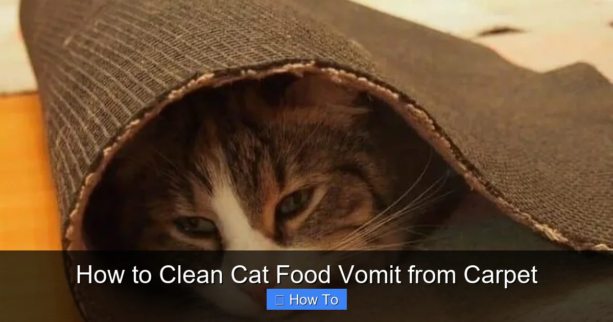How to Clean Cat Food Vomit from Carpet