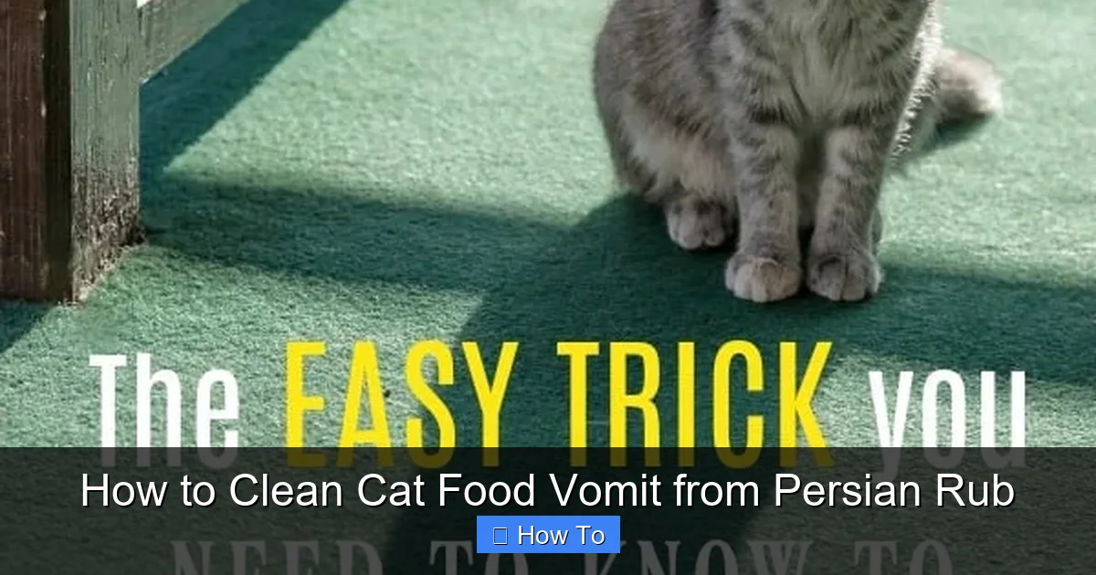How to Clean Cat Food Vomit from Persian Rub