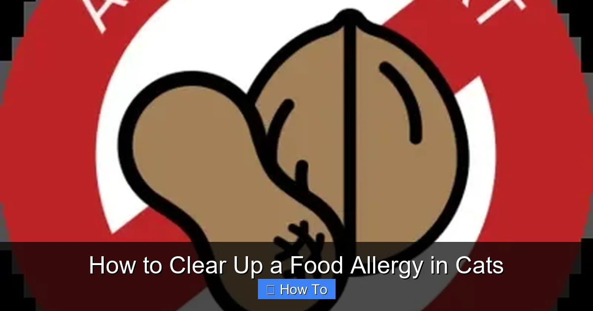 How to Clear Up a Food Allergy in Cats