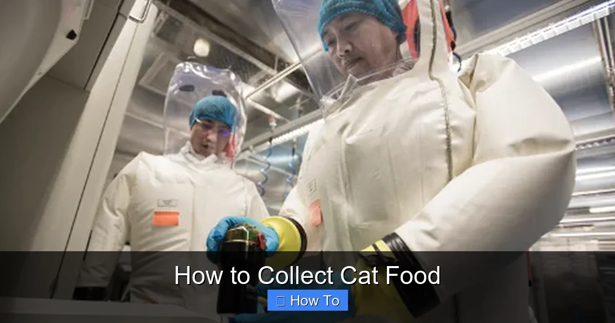 How to Collect Cat Food