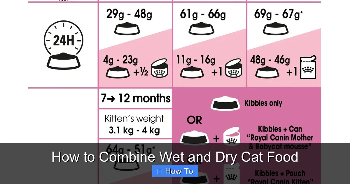 How to Combine Wet and Dry Cat Food