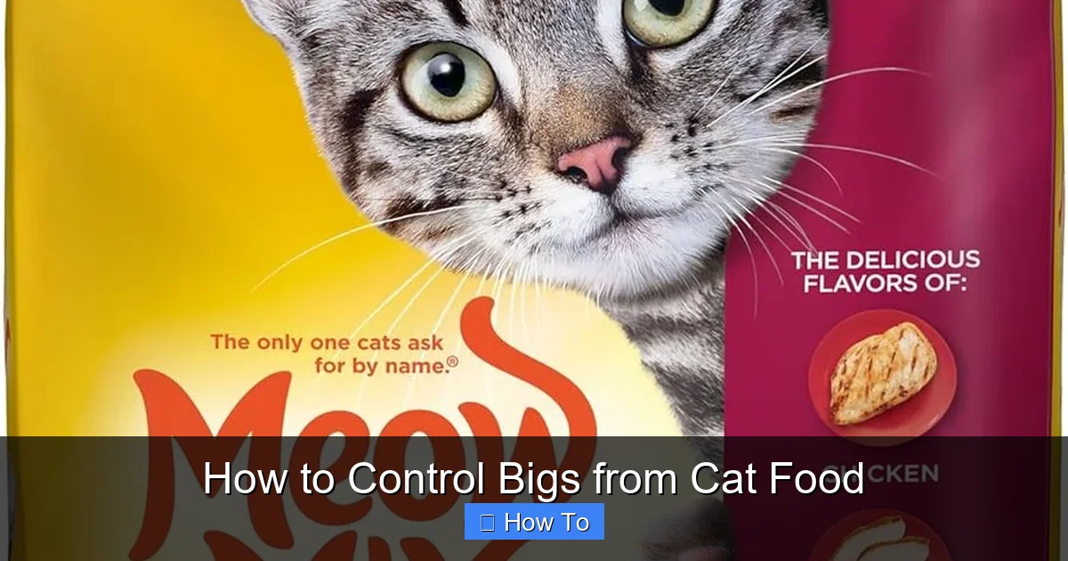 How to Control Bigs from Cat Food
