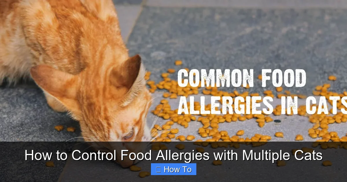 How to Control Food Allergies with Multiple Cats