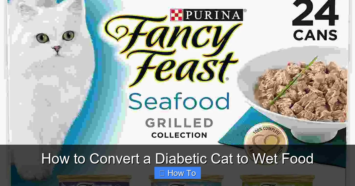 How to Convert a Diabetic Cat to Wet Food