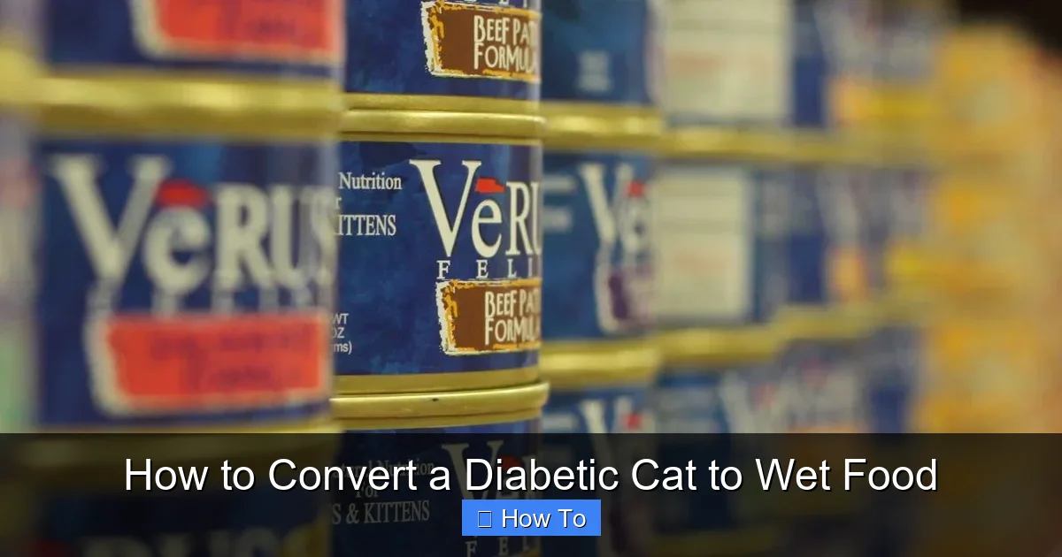 How to Convert a Diabetic Cat to Wet Food