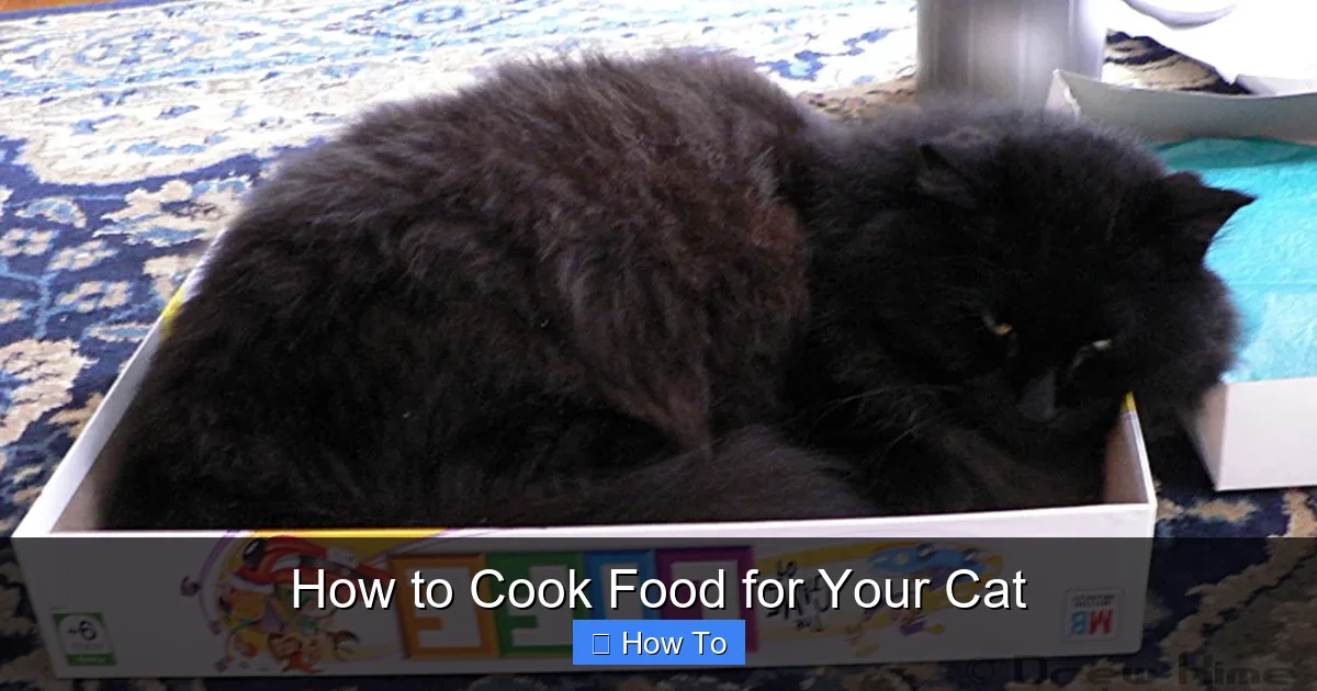 How to Cook Food for Your Cat