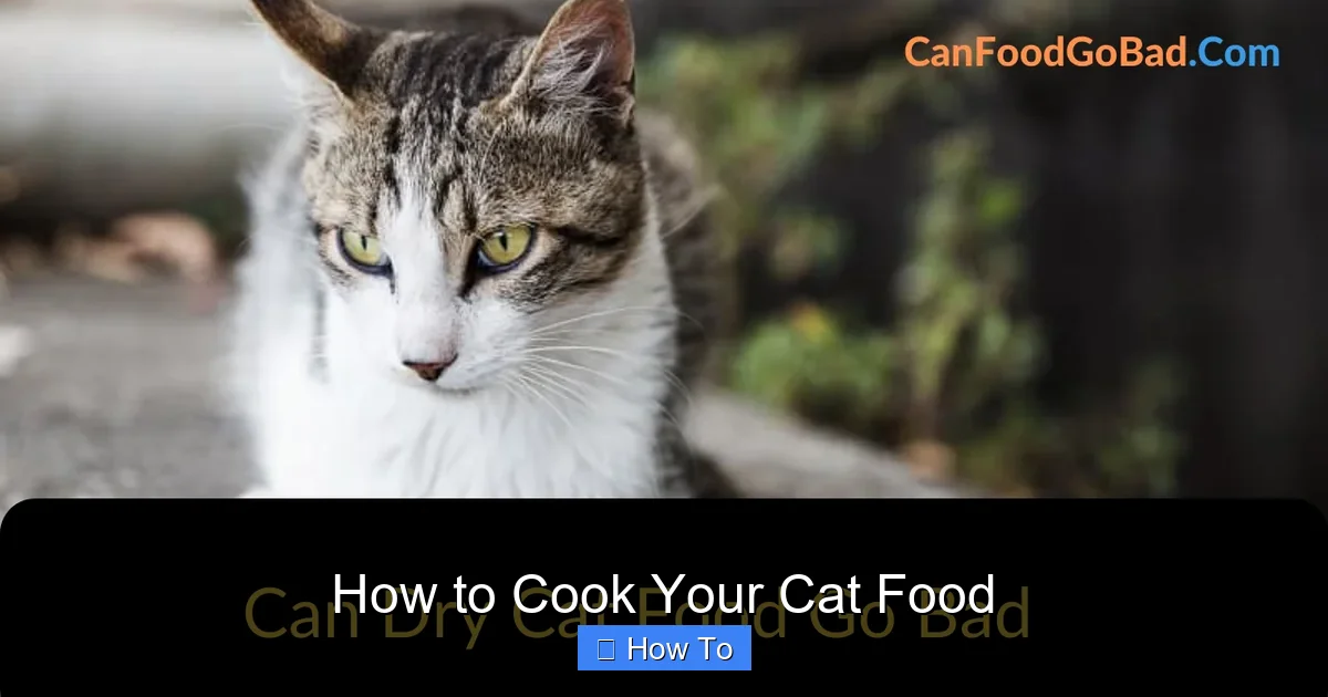 How to Cook Your Cat Food