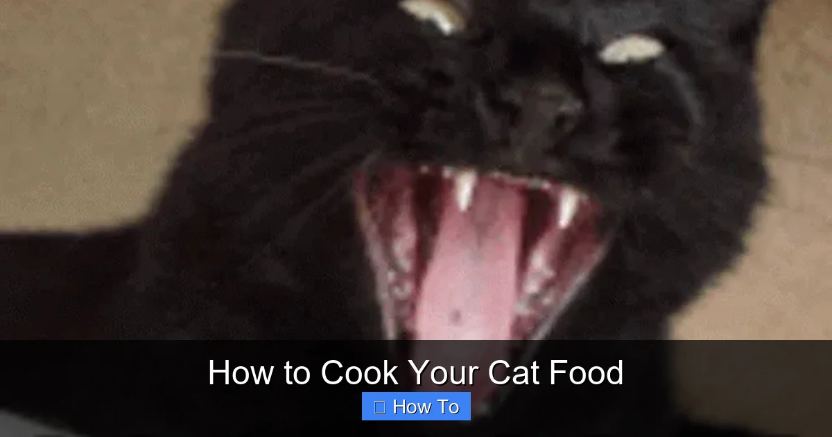 How to Cook Your Cat Food