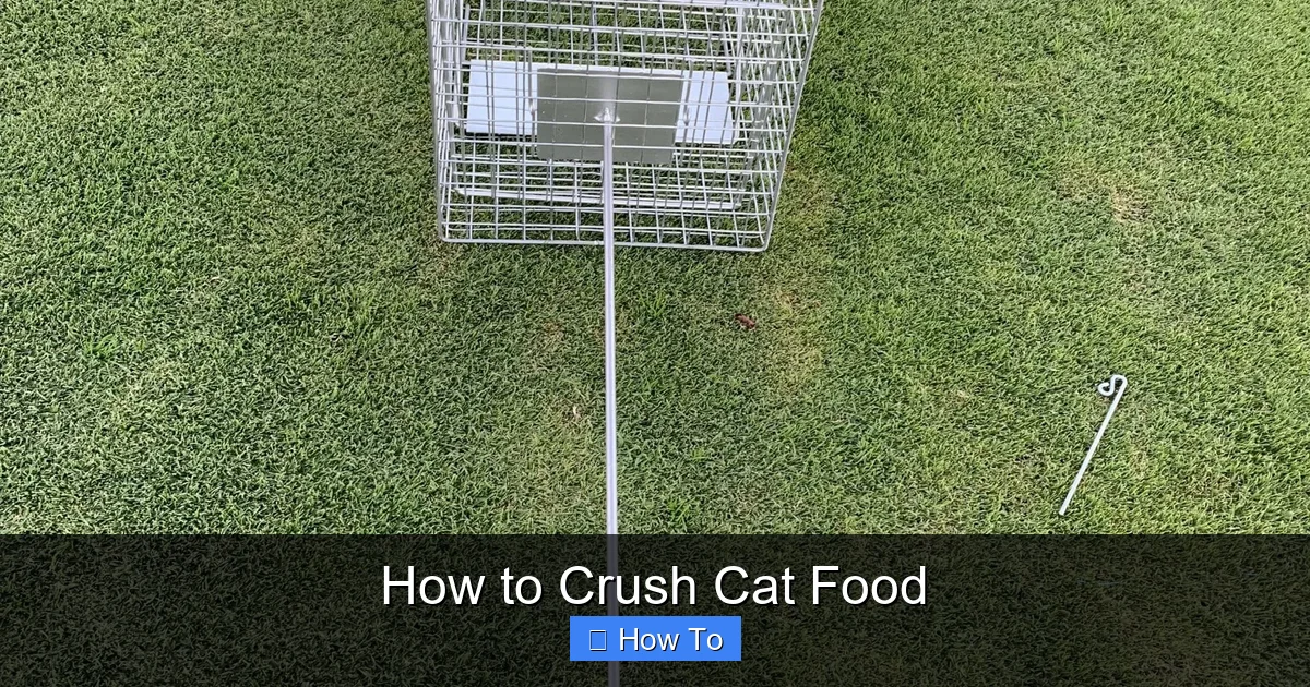 How to Crush Cat Food