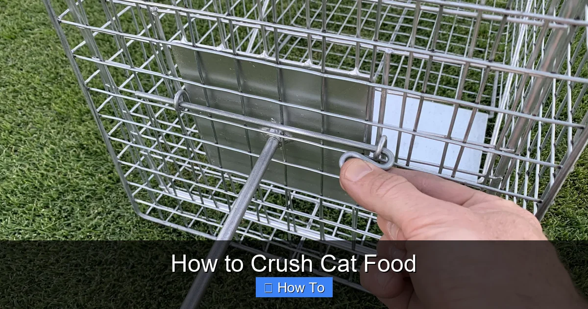 How to Crush Cat Food