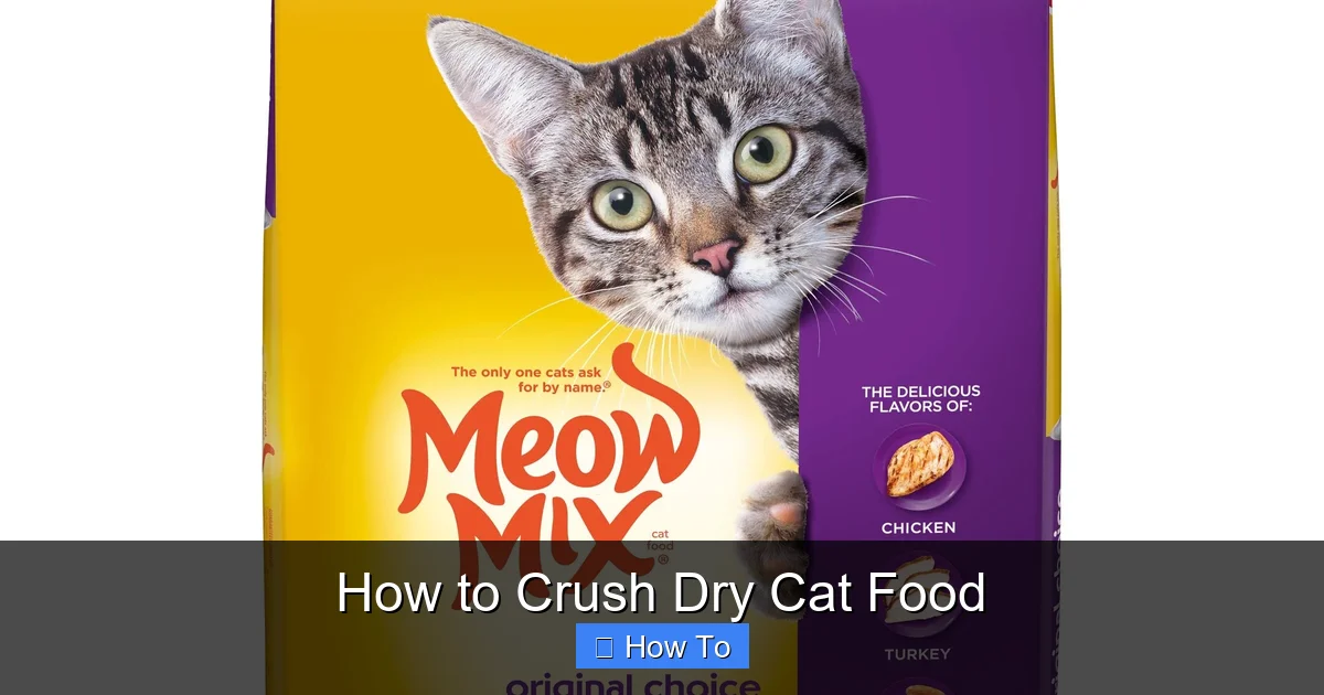 How to Crush Dry Cat Food