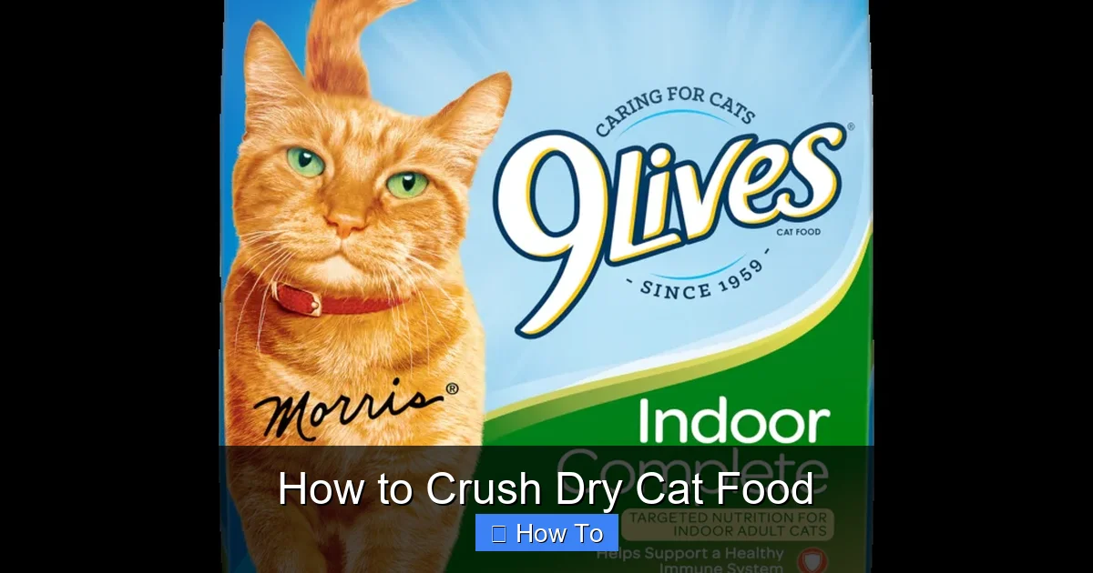 How to Crush Dry Cat Food