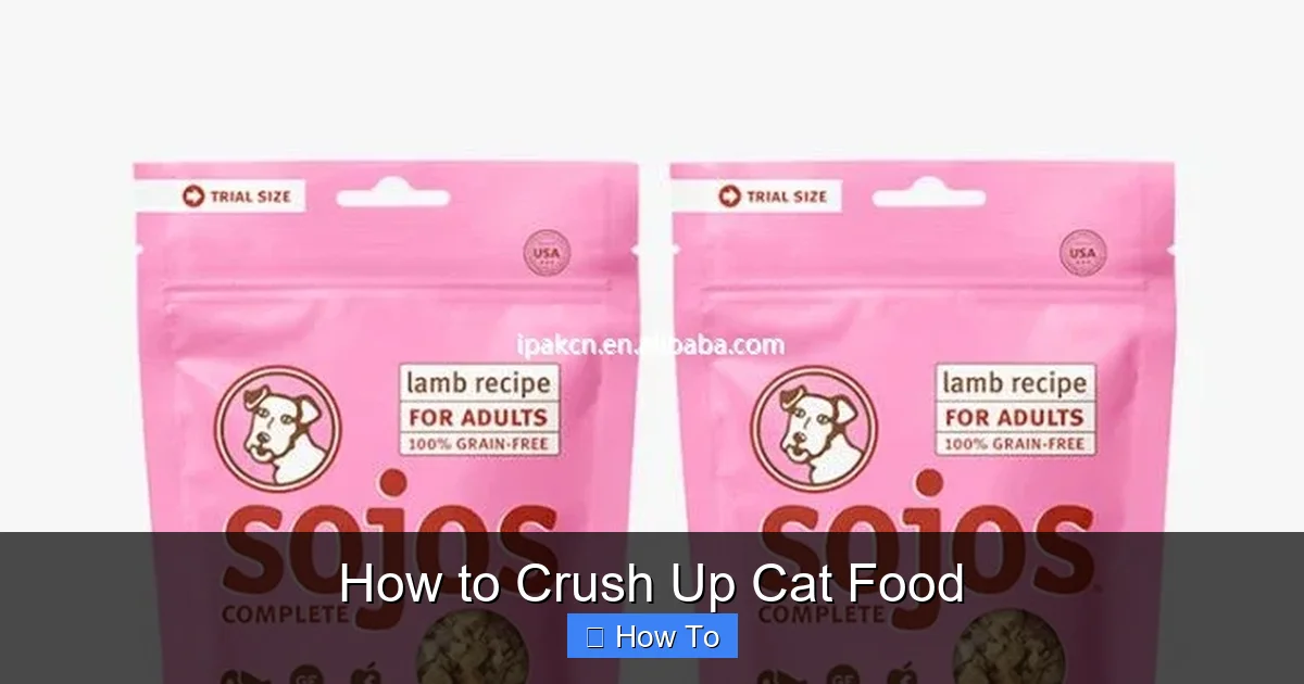 How to Crush Up Cat Food