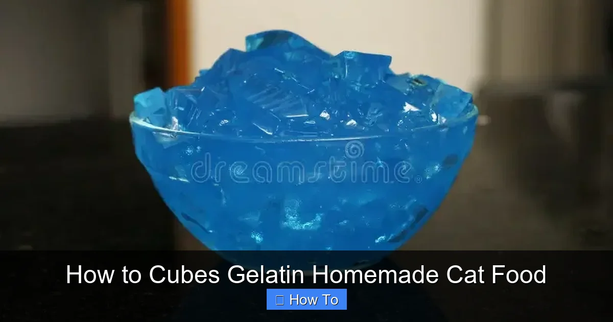 How to Cubes Gelatin Homemade Cat Food