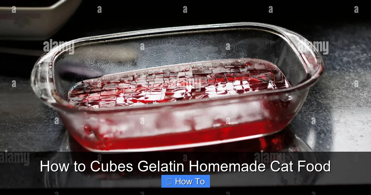 How to Cubes Gelatin Homemade Cat Food