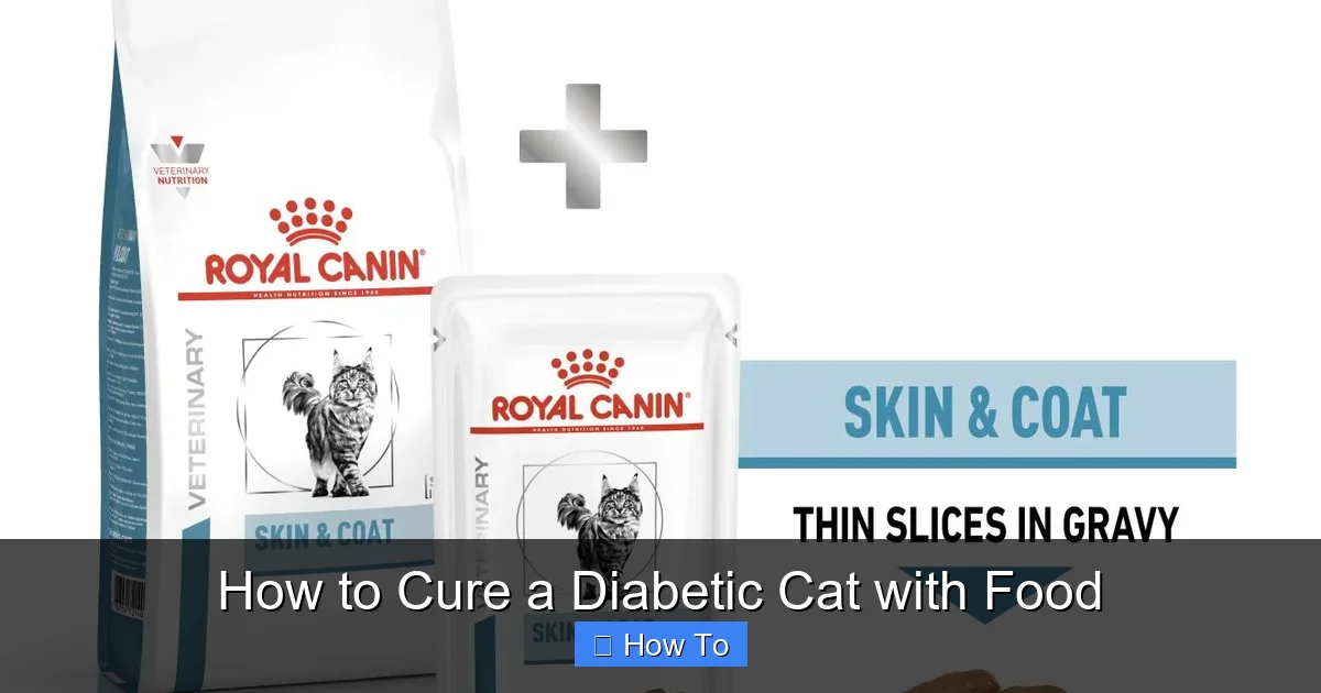 How to Cure a Diabetic Cat with Food