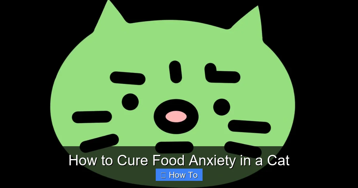 How to Cure Food Anxiety in a Cat