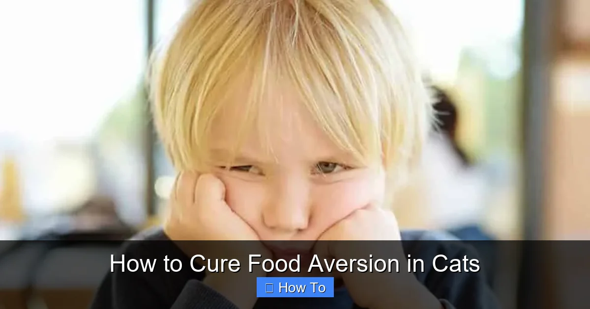 How to Cure Food Aversion in Cats