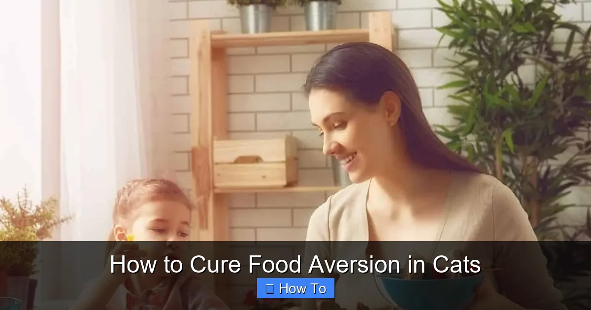 How to Cure Food Aversion in Cats