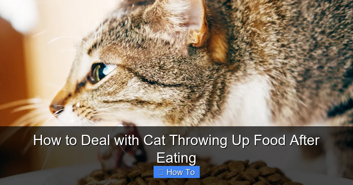 How to Deal with Cat Throwing Up Food After Eating