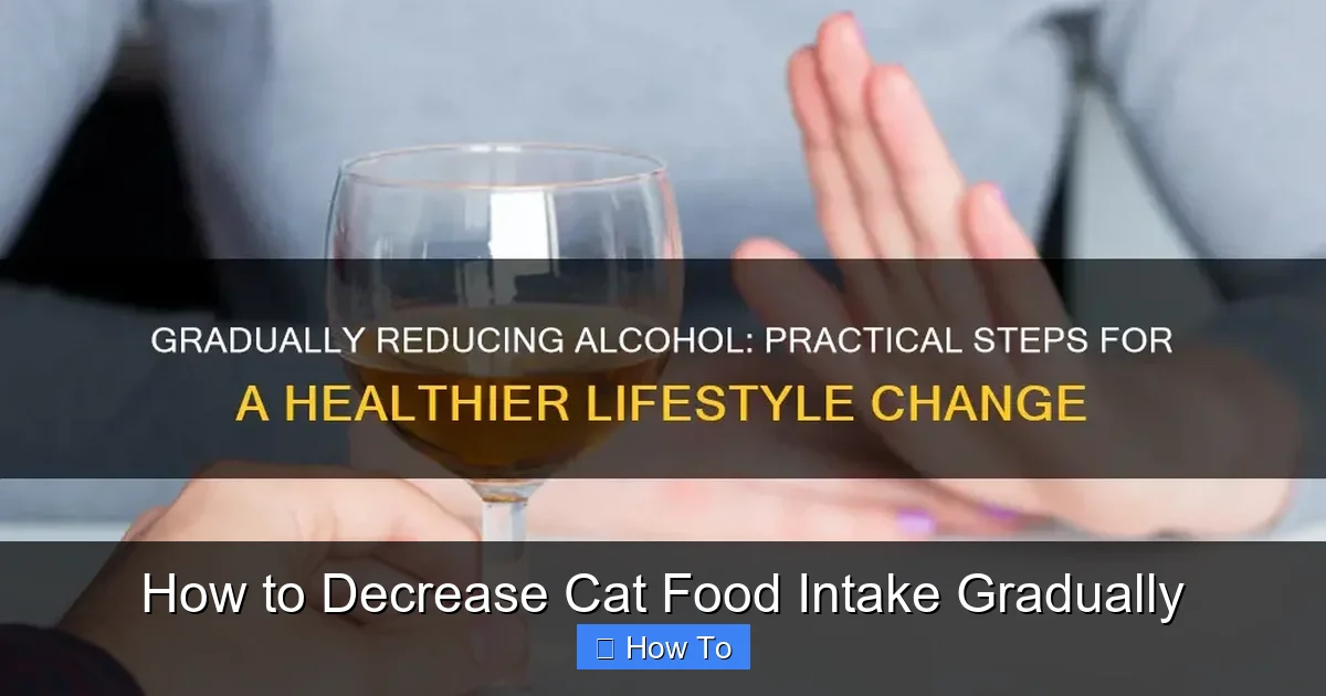 How to Decrease Cat Food Intake Gradually