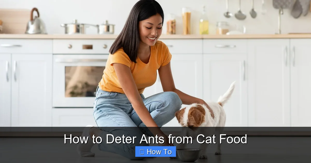 How to Deter Ants from Cat Food