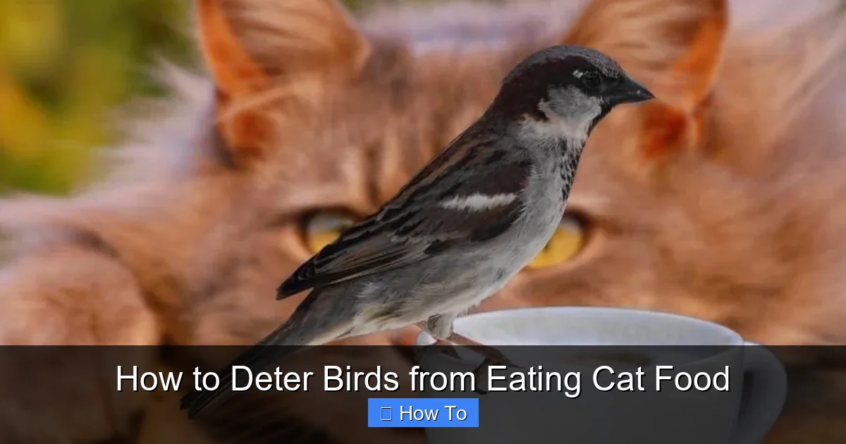 How to Deter Birds from Eating Cat Food